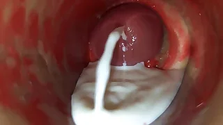 Sex Gay Porn 19